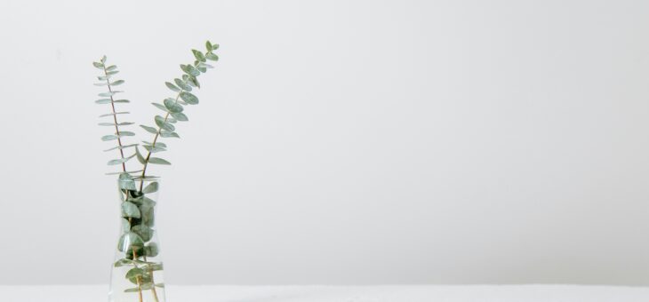 Effektiv parterapi i Vejle: Styrk dit forhold og løs konflikter